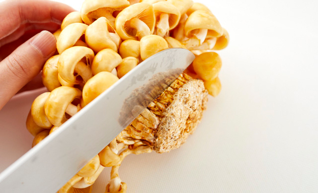 株付きのなめこの石づきを切り離している写真