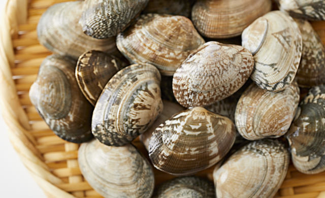 生のあさりの写真