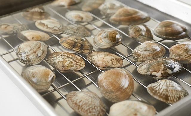 あさりの砂抜きの写真