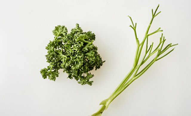 パセリの葉と茎をわけた写真