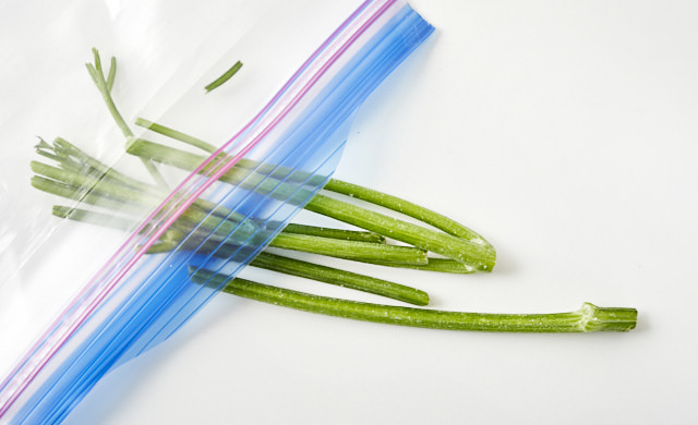 パセリの軸を冷凍した写真