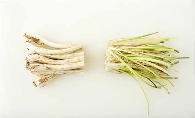 島らっきょうを上下で切り分けている写真