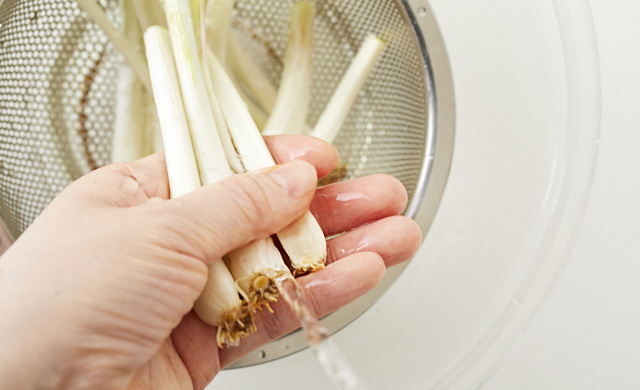 島らっきょうを洗っている写真