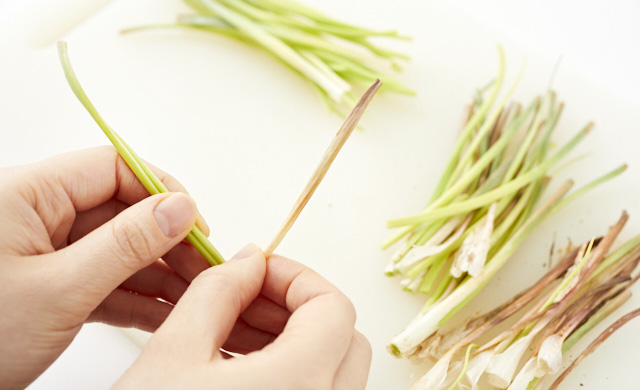 島らっきょうの茶色い部分を取り除いている写真