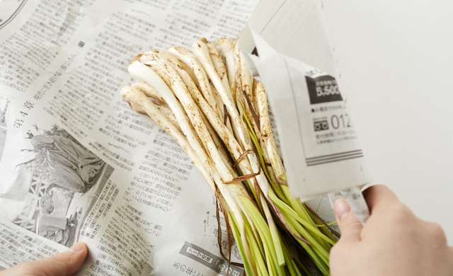 生の島らっきょうの保存の写真