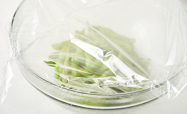 再加熱する直前の枝豆の写真