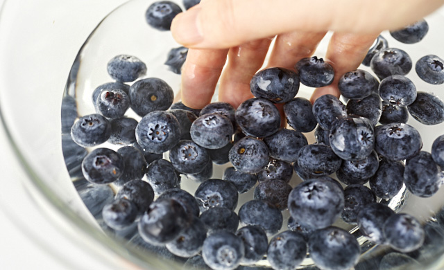 ブルーベリーの冷凍 6ヵ月もつテクニック 冷蔵保存方法も ほほえみごはん 冷凍で食を豊かに ニチレイフーズ