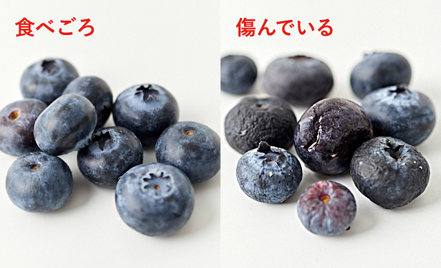 食べごろのブルーベリーの例写真・傷んだブルーベリーの例写真