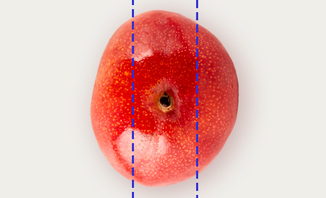 包丁の入れ方の写真
