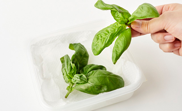 バジルを保存容器に移している写真