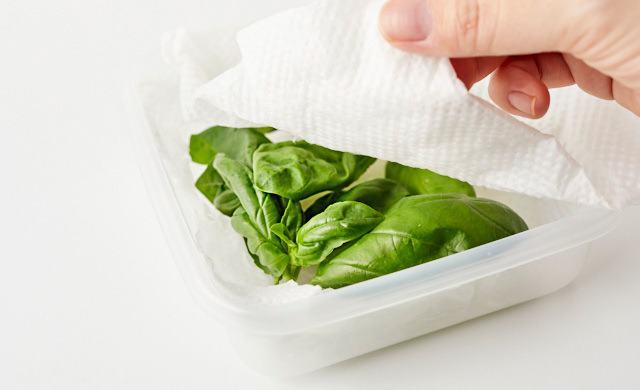 バジルに濡らしたキッチンペーパーをかけている写真