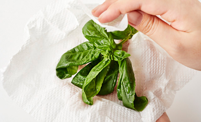 バジルをキッチンペーパーで拭き取る写真