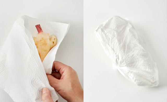 キッチンペーパーに包んだ新生姜とポリ袋に入れた新生姜の写真