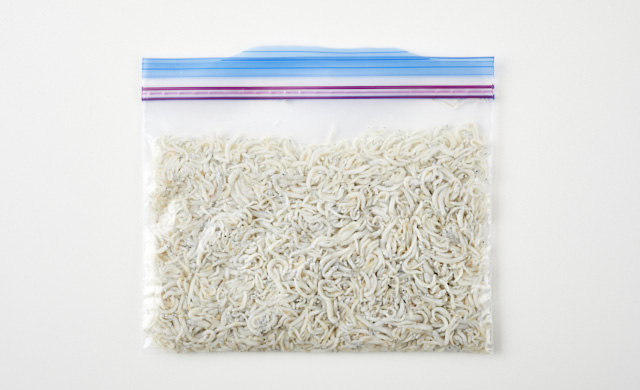 しらすを冷凍用保存袋に入れている写真