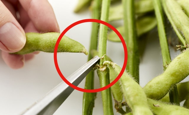 枝豆の保存 冷凍がベスト 味と食感を1ヵ月キープする保存テク ほほえみごはん 冷凍で食を豊かに ニチレイフーズ 枝豆の保存 冷凍がベスト 味と食感を1ヵ月キープする保存テク ほほえみごはん 冷凍で食を豊かに ニチレイフーズ