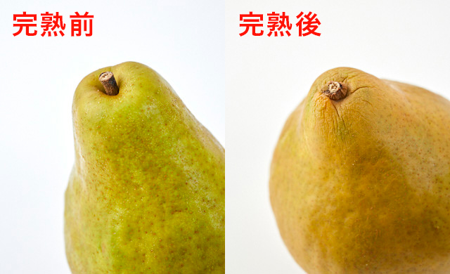 完熟前のラフランスの写真/完熟したラフランスの写真