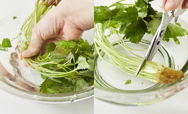 三つ葉を洗っている写真