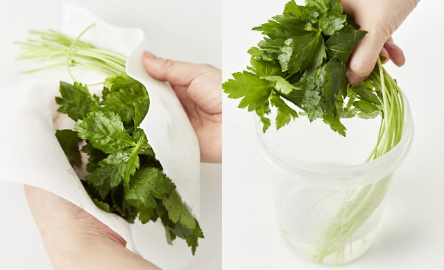 三つ葉の水気を拭き取っている写真