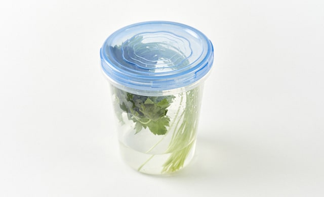 三つ葉を容器に入れている写真