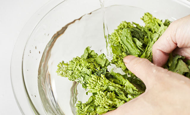 菜の花を洗う写真