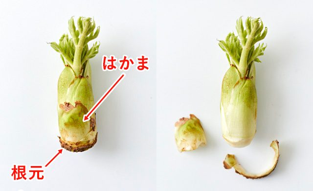 タラの芽の保存 冷凍がおすすめ 凍ったまま和え物や天ぷらに ほほえみごはん 冷凍で食を豊かに ニチレイフーズ