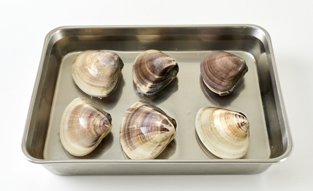 はまぐりの砂抜きの写真