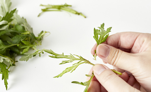 葉を手でちぎっている写真