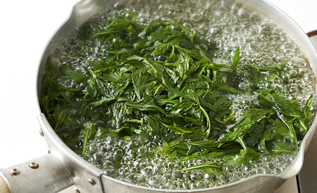 よもぎを鍋でゆでている写真