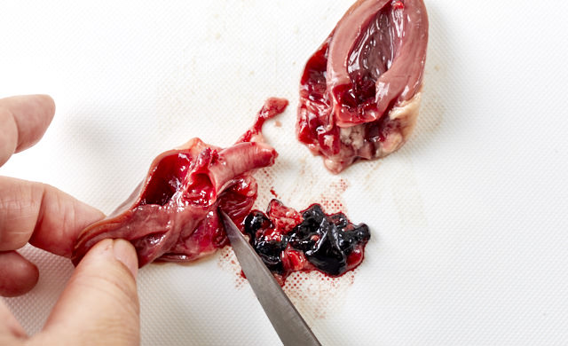 ハツの血をとる写真