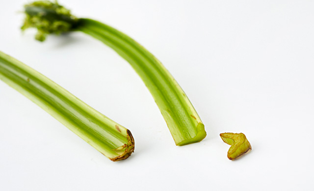 こごみの茎の根元