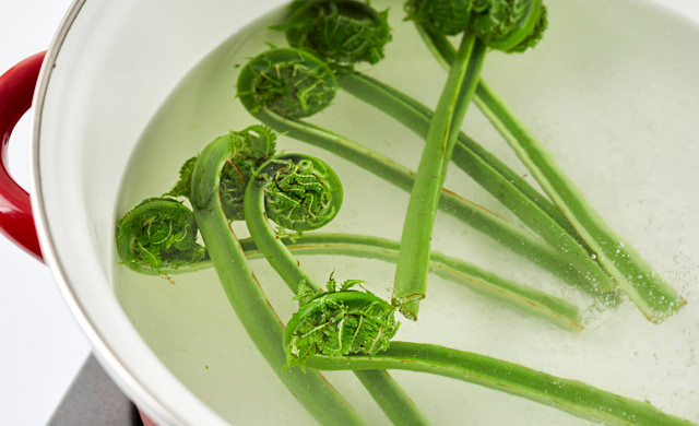 こごみをゆでている写真