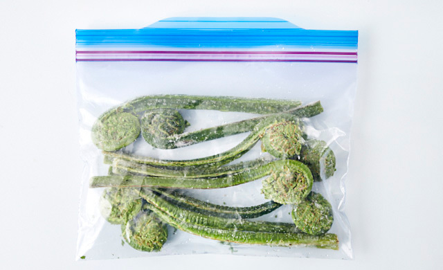 冷凍したこごみの写真