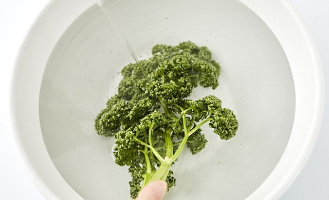 パセリを洗う写真