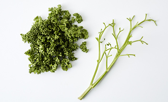 パセリを葉と茎にわける写真