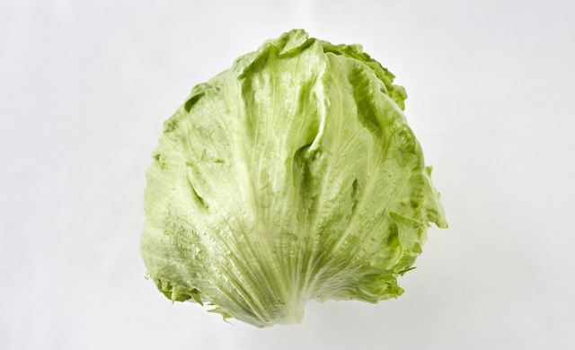 生のレタスの写真