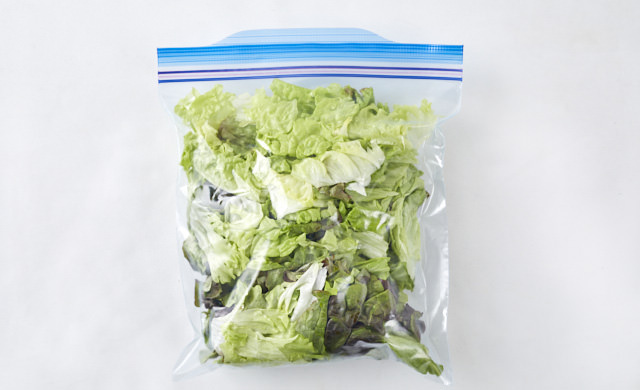 サニーレタスを冷凍用保存袋に入れている写真