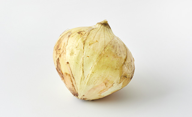 生の新玉ねぎの写真