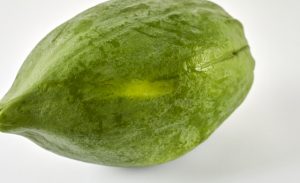 新鮮な青パパイヤ写真