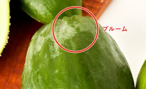 果粉がついている新鮮な青パパイヤ写真