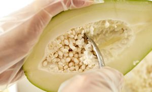 種をくり抜いている写真