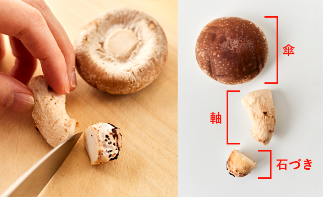 しいたけの軸 活用レシピ まとめて冷凍でだしやスープ バター炒めにも ほほえみごはん 冷凍で食を豊かに ニチレイフーズ