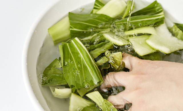 チンゲン菜を洗っている写真