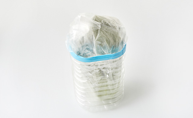 チンゲン菜を立てて保存している写真