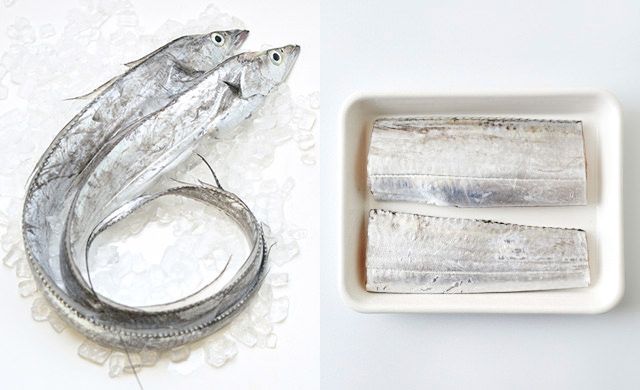 タチウオの写真