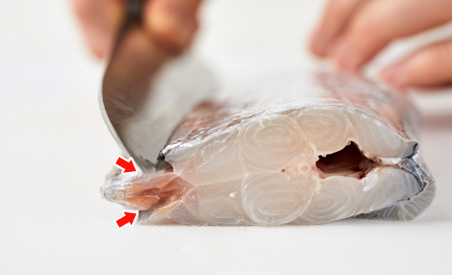 タチウオの背びれに切り込みを入れている写真