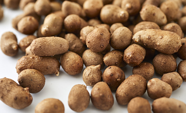 むかごの寄りの写真