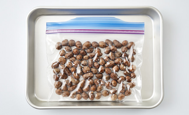 生のむかごを保存袋に入れバットにのせた写真