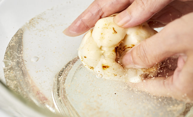 ゆり根を洗う写真