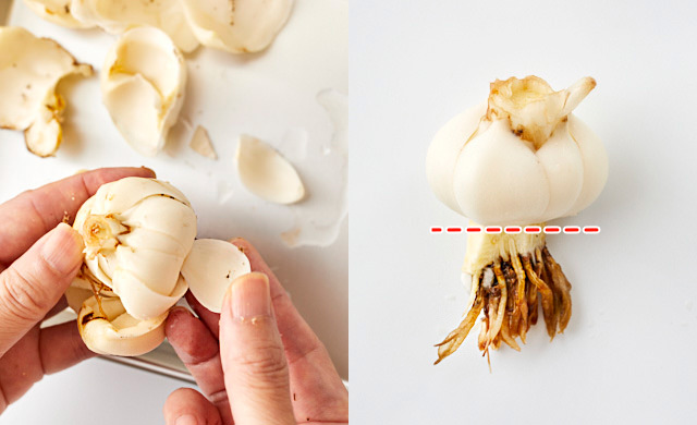 左・鱗片をはがす写真/右・ゆり根の根元の写真