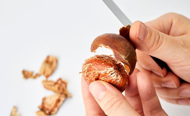 栗の鬼皮をむいている写真